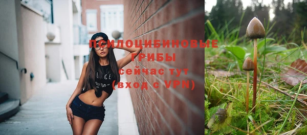 шишки Верхнеуральск