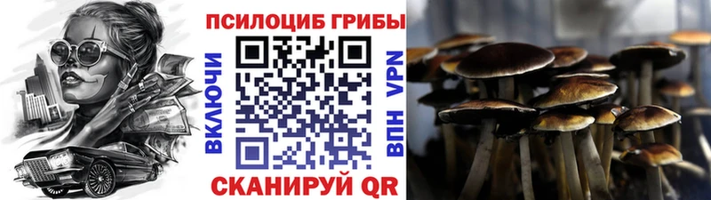 магазин продажи наркотиков  Северо-Курильск  площадка как зайти  Псилоцибиновые грибы мицелий 